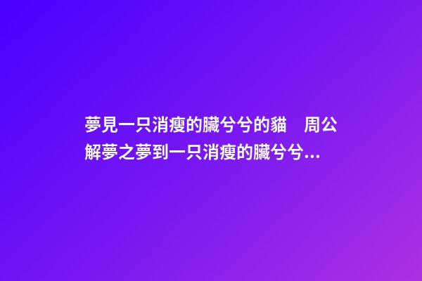夢見一只消瘦的臟兮兮的貓　周公解夢之夢到一只消瘦的臟兮兮的貓